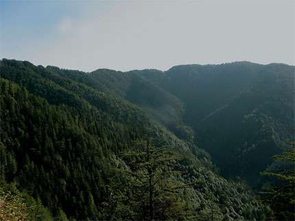 Chail Wildlife Sanctuary