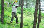 Balancing rope walk at Chail