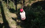 Flying Fox at Chail