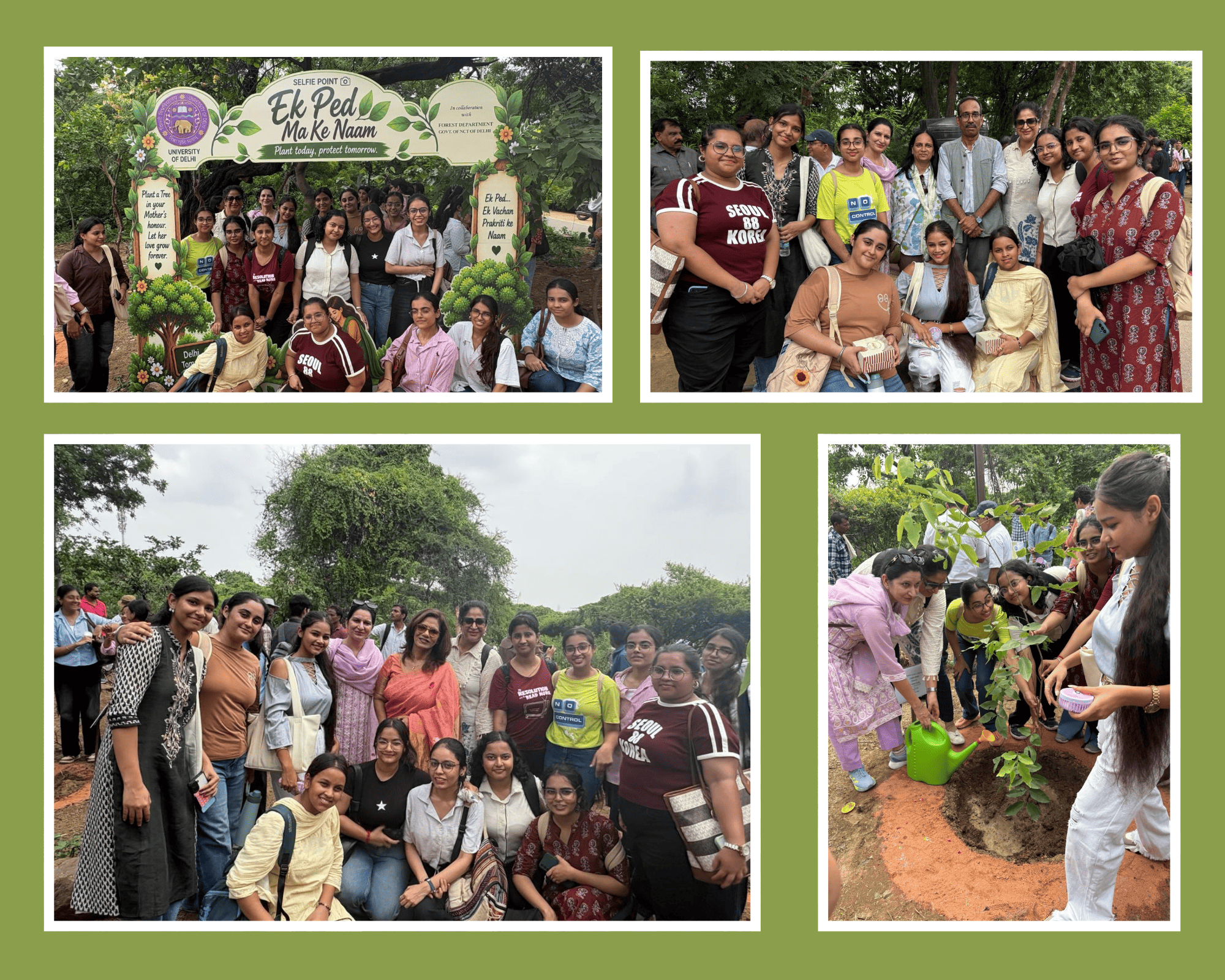 Plantation Drive at Nehru Ridge